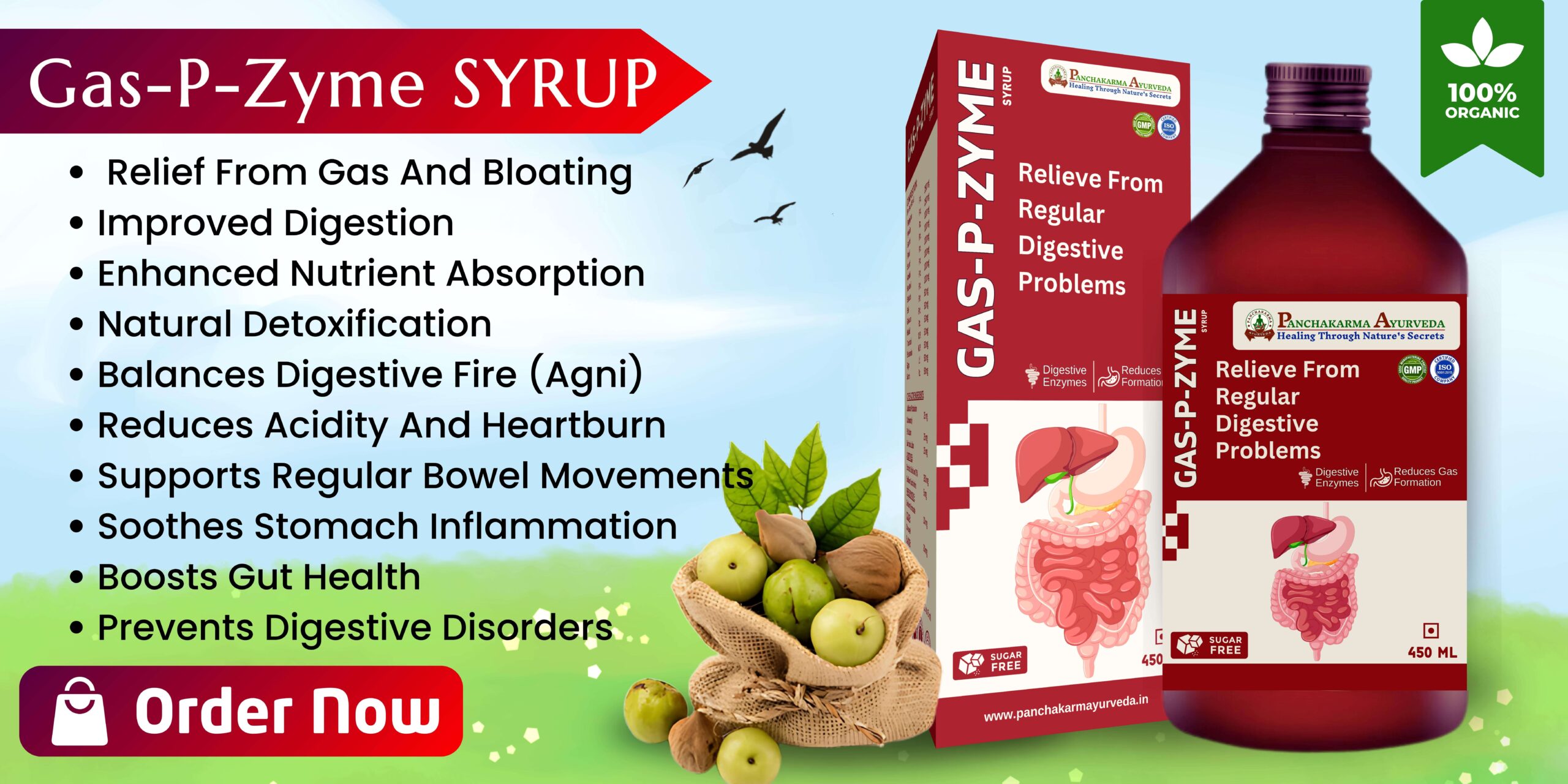 Best Digestive Syrup