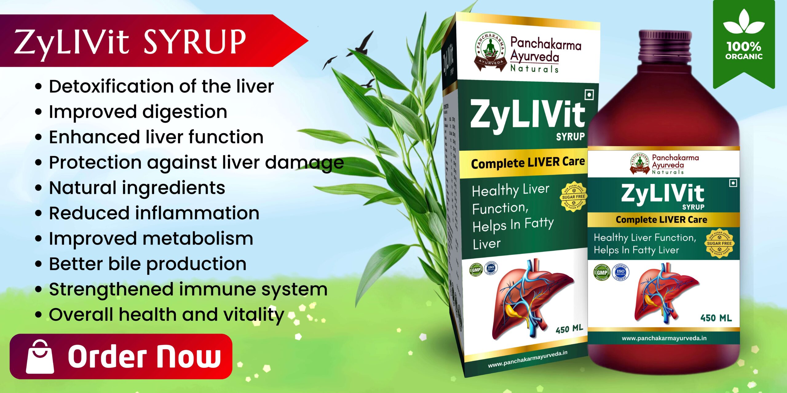 Best Liver Syrup