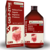 Best Digestive & Gas Problem Cure Ayurvedic Syrup
