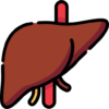 Liver Problem